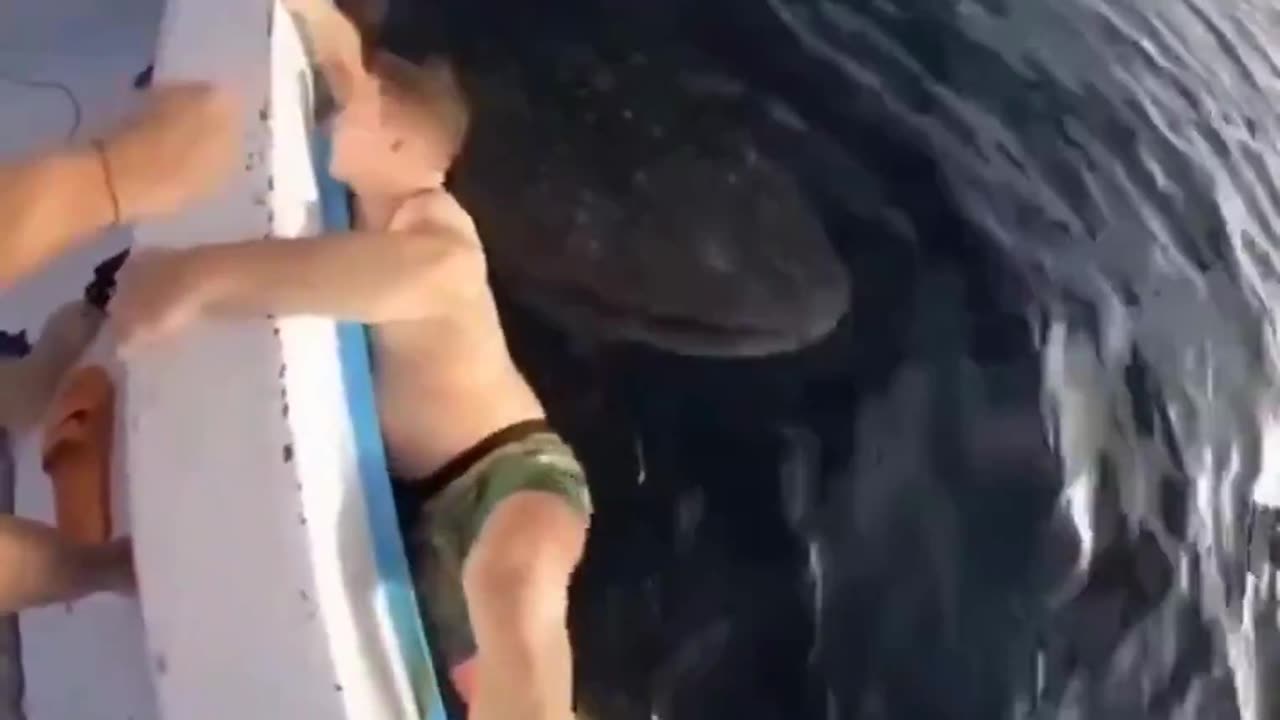 😂😂😂 he begged like a baby