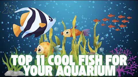 Top 11 Cool Fish for Your Aquarium – Easy Guide for Kids