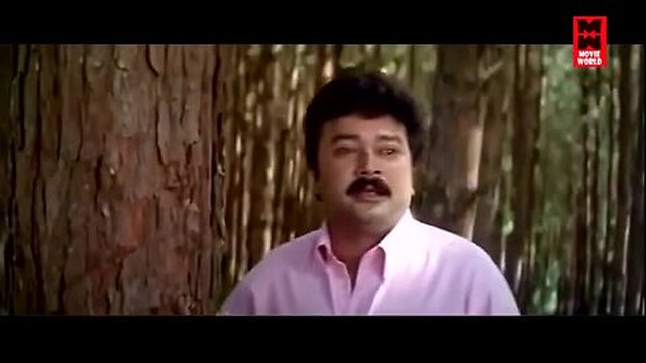 Akale_Nizhalai_Song____Dilliwala_Rajakumaran___Evergreen_Malayalam_Film_Songs___Movie_Song