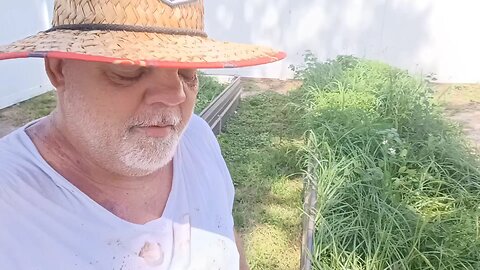 Cubby's Florida Garden