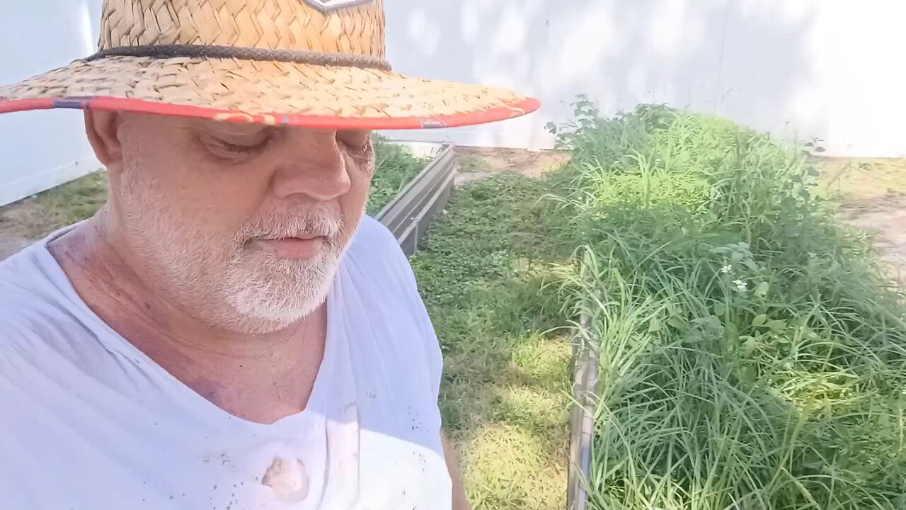 Cubby's Florida Garden