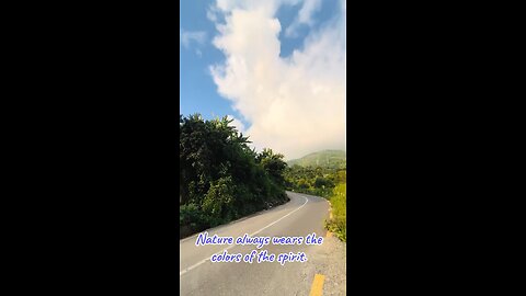 Beautiful View Of Nature