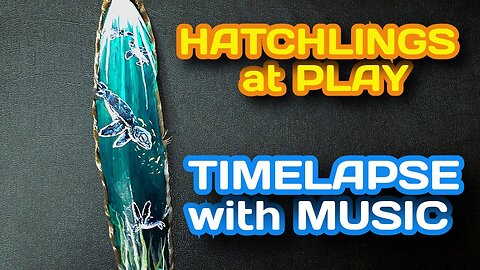 Hatchlings at Play {Timelapse with Music}