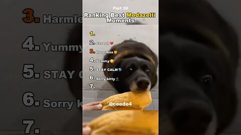 Funniest Medazelli#ranking #medazelli #tiktok