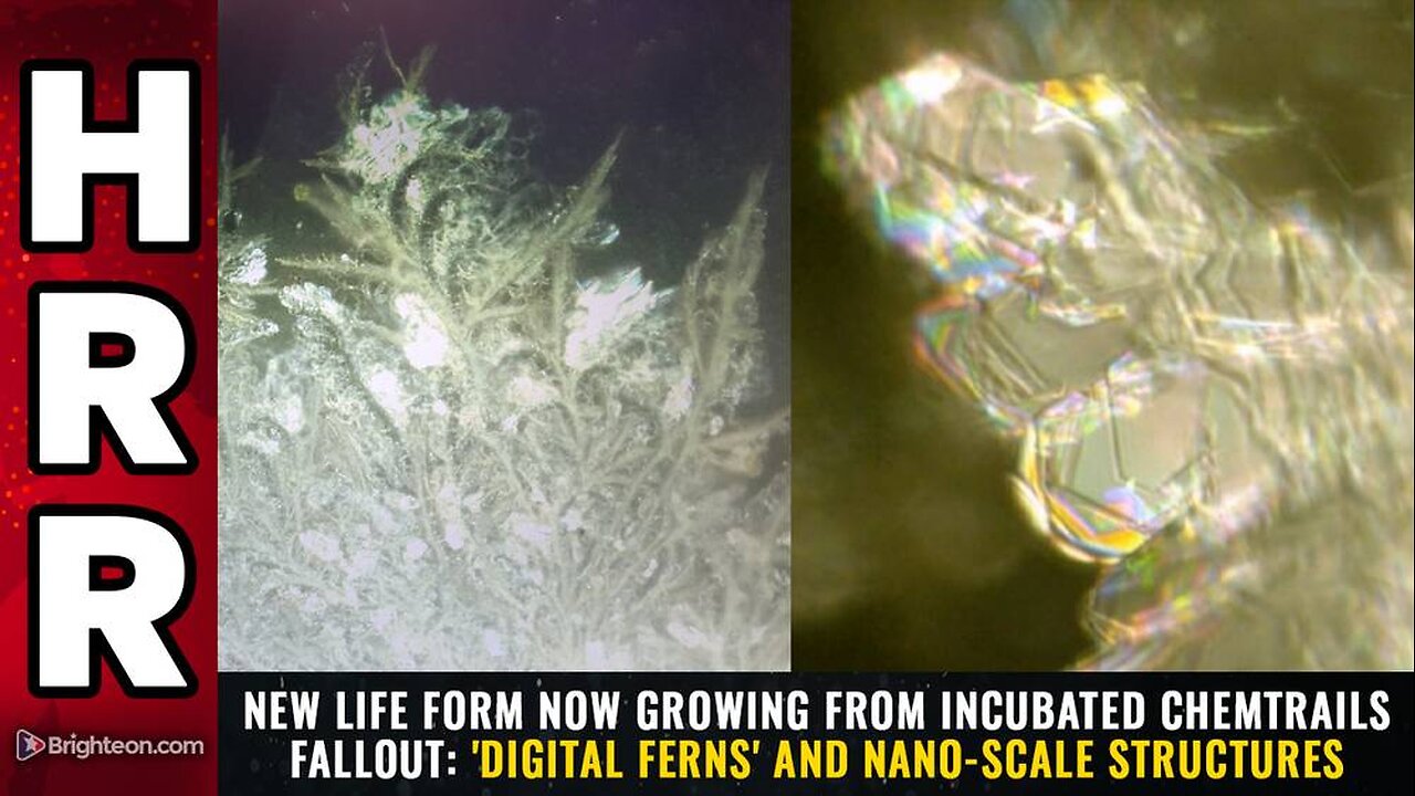 New life form now growing from incubated chemtrails fallout