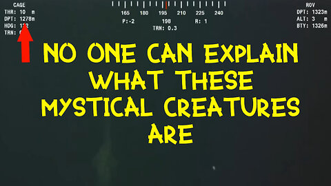 INCREDIBLY, footage that is beyond comprehension was captured on camera...