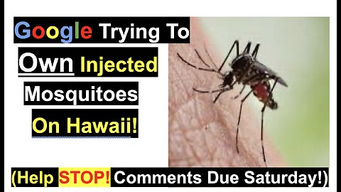 Google Trying To Own Injected Mosquitoes On Hawaii! (Help STOP! Comments Due Saturday!)