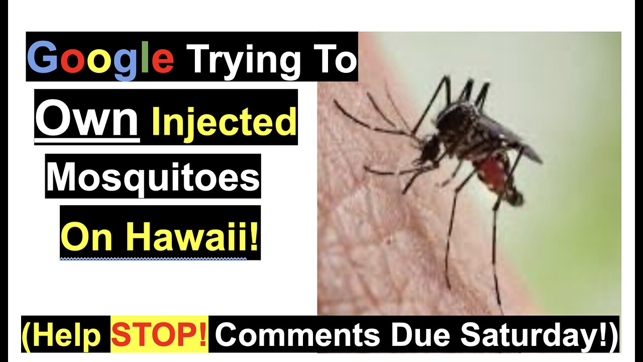 Google Trying To Own Injected Mosquitoes On Hawaii! (Help STOP! Comments Due Saturday!)
