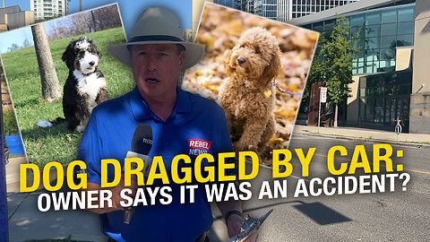 Update: Toronto realtor accused of using a car to drag his dog says the incident was accidental