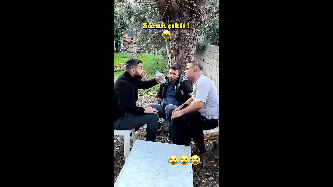 funny videos