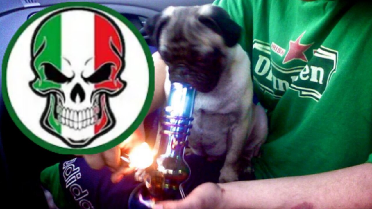 "MRE 5am LIVE: But 1rst coffee = burn after" (31May2025) An 'Mob Rats exposed' Livestream [Removed from YouTube]