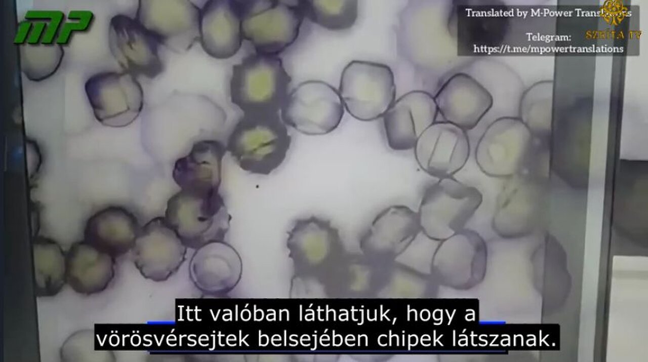Oltás után Chip a vörösvérsejtek belsejében