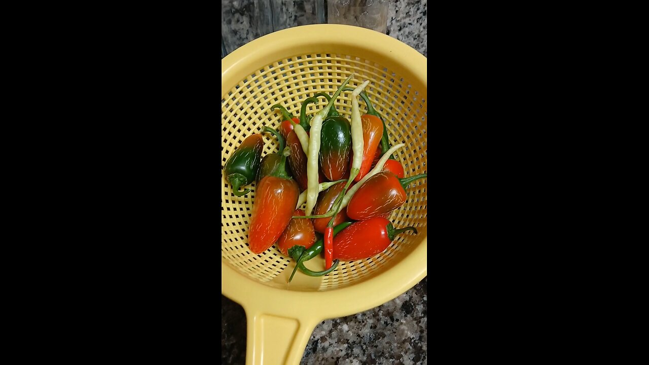 jalapeño দেখেই আমার শান্তি❤️
