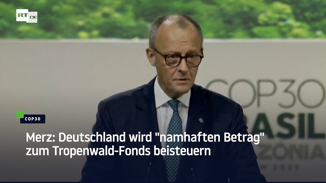 Merz: Deutschland wird namhaften Betrag zum Tropenwald-Fonds beisteuern