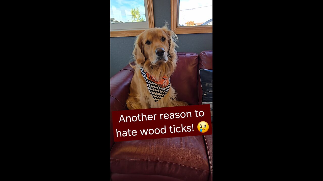 Another reason to hate wood ticks! 😢