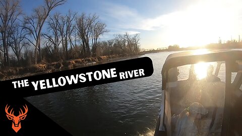 Up The Yellowstone River | Catching Brown Trout and Memories | Sunset Jet Boat Ride