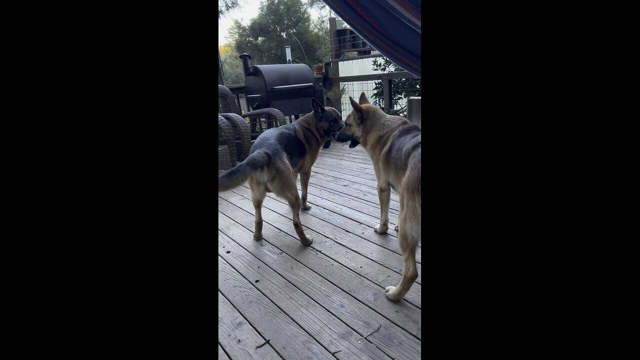 Ingo and Java buggin the Borgs