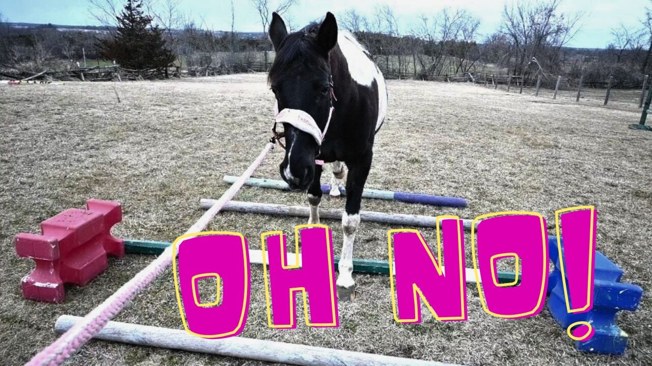 My HORSE Got KICKED Out Of LESSONS For Making This One MISTAKE!