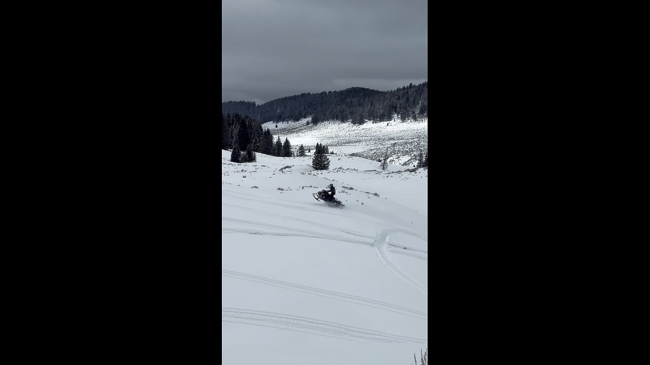 Snow? Check! Wheelie? Check! Sanity? Optional!