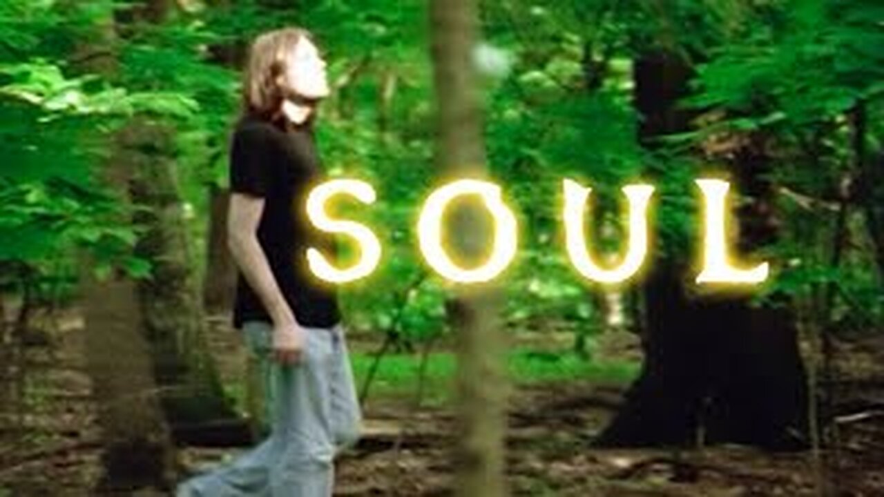 Oblivion's sincerity of expression: the meaning of soul (Crowbcat)