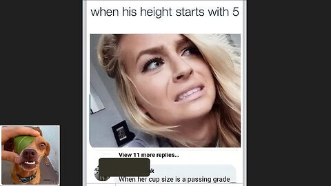 Memes That Will 99.0262% Make You Laugh. (e486)
