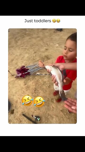 Perfect for anyone who loves funny videos, pets, and unexpected comedy.