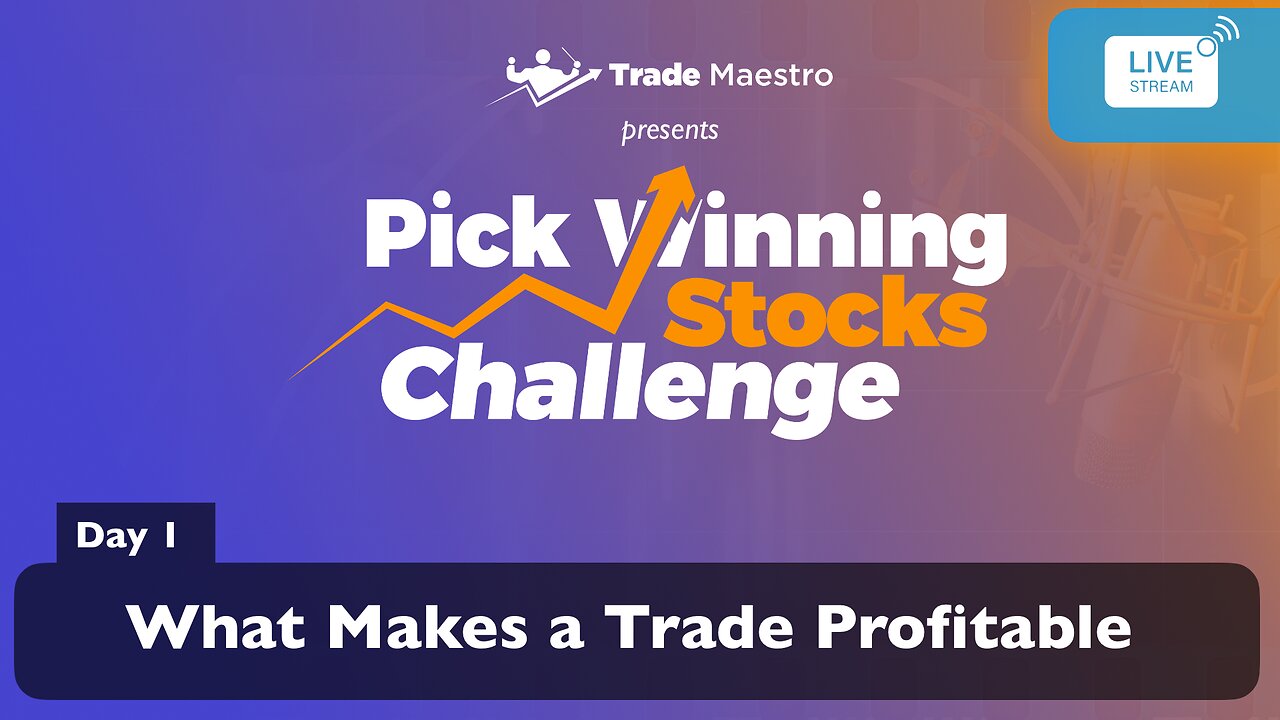 Pick Winning Stocks Challenge – Day 1: What Makes a Stock Profitable
