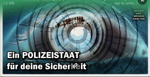 Ein POLIZEISTAAT für deine Sicherheit (The Reese Report - Deutsch)