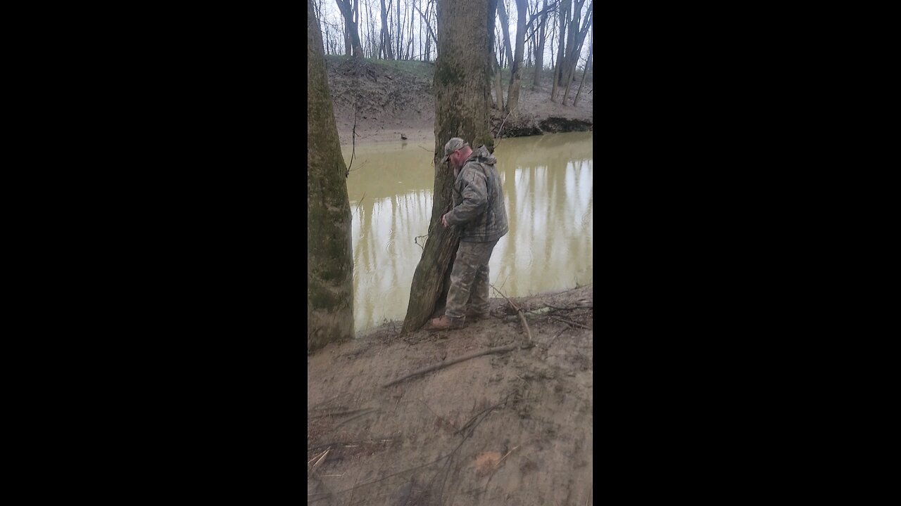 Checking Limb Lines