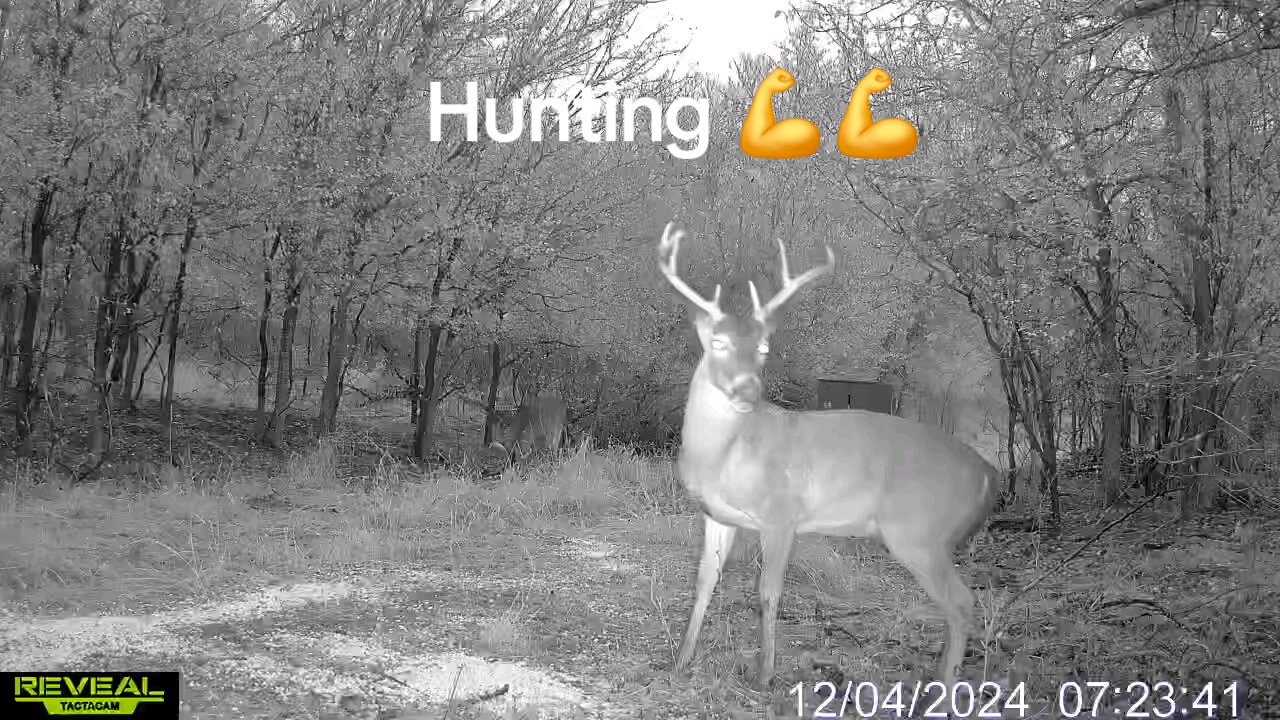 Decent lil buck