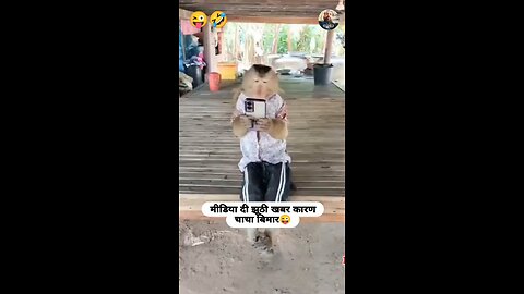entertainment funny video follow my page