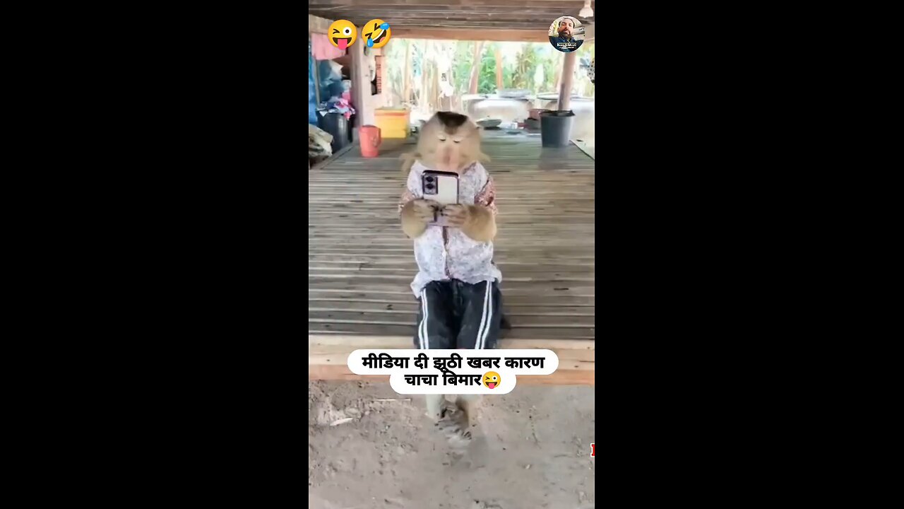 entertainment funny video follow my page