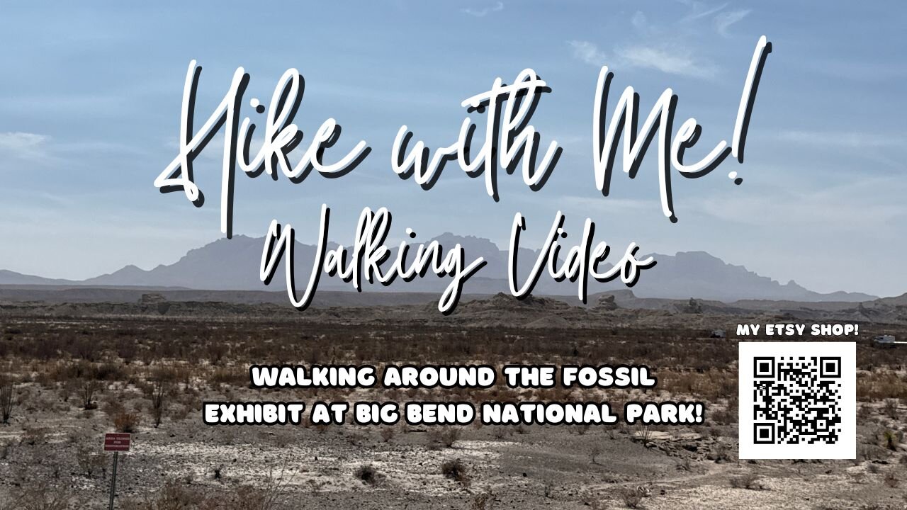 Walking Through 130 Million Years of History | Fossil Discovery Exhibit, Big Bend National Park