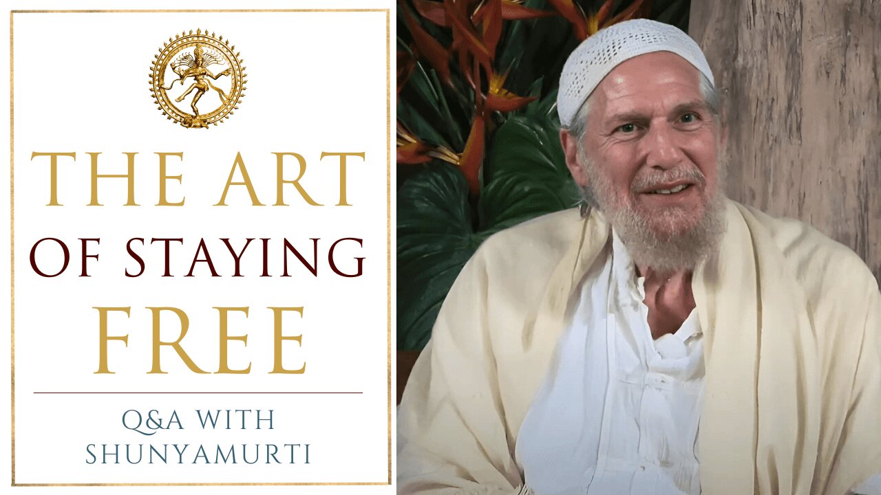 The World is a Great Work of Art | Shunyamurti Q&A