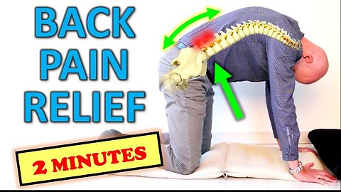 7 Great Low Back Pain Relief Exercises... in 2 MINUTES