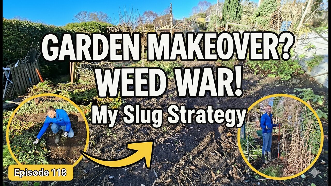 From Overwhelmed Mess to Winter Ready! Vegetable Garden Transformation in One Day