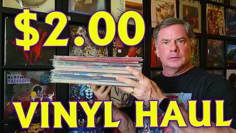 My Insane $2 Vinyl Finds Haul