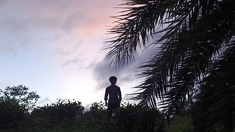evening Sunset view, and create cinematic dark shadows....