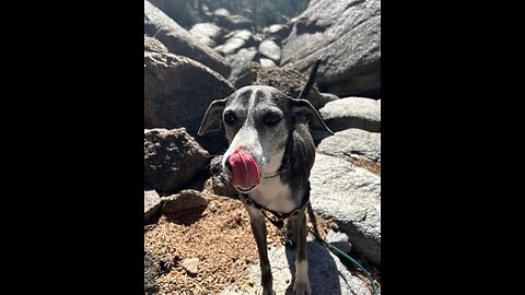 Chasing Specialist with Below average gameplay