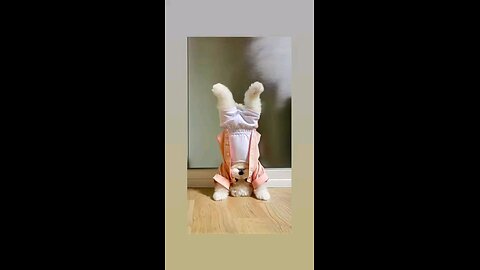 एक्साइज