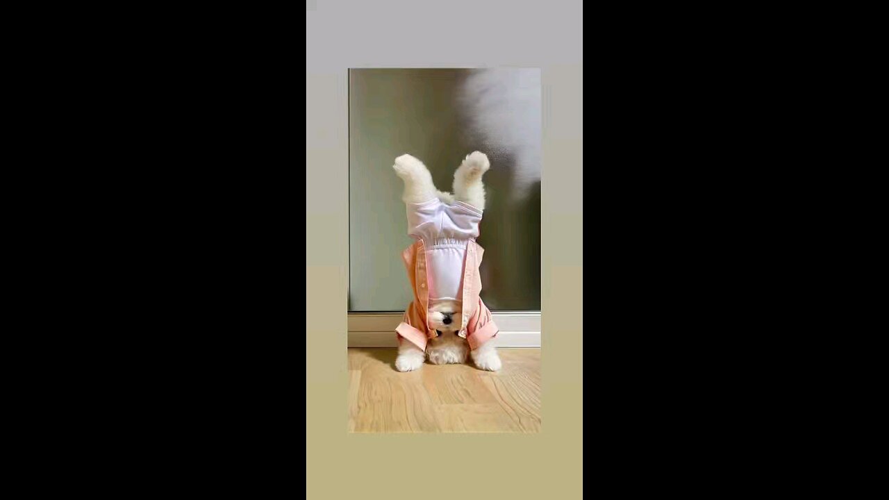 एक्साइज