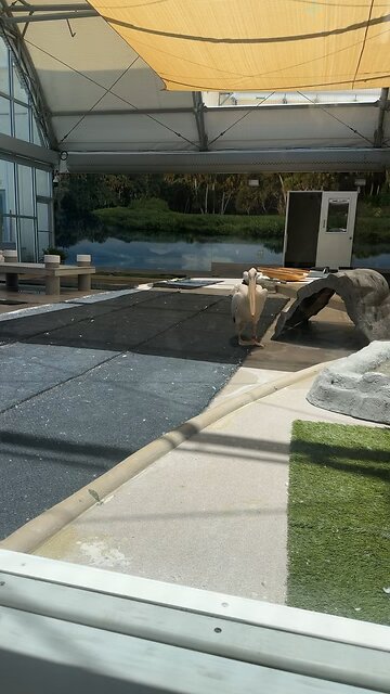 Clearwater Marine Aquarium