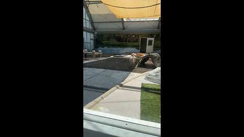 Clearwater Marine Aquarium