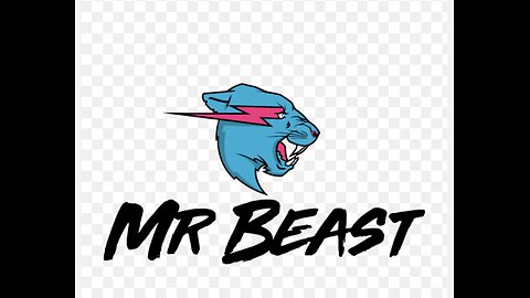 Mr Beast Challenge