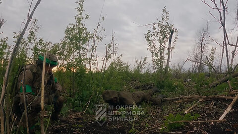 Russian Brigade "fleed" Some Captureed