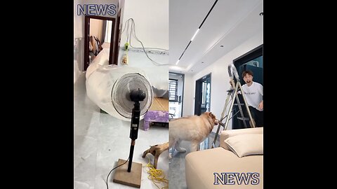 Watch what the dog does while searching. Meanwhile, someone else enjoys the breeze in style.