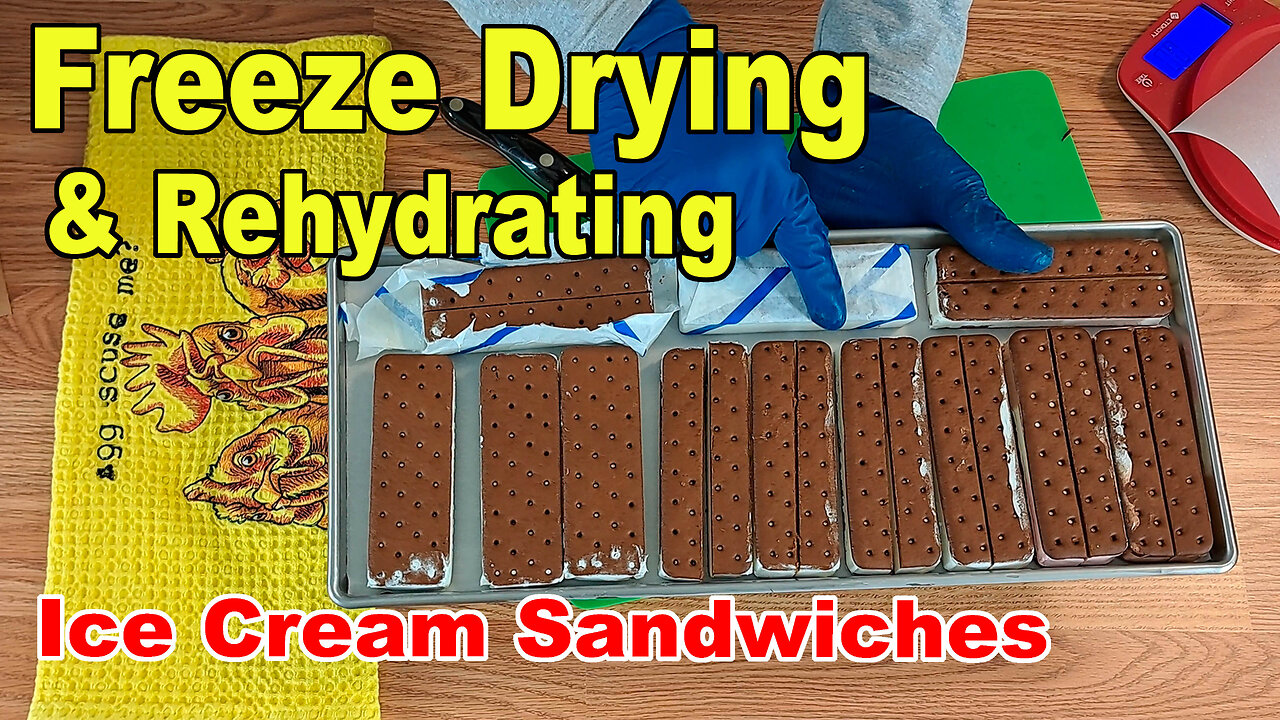 Freeze Drying Ice Cream Sandwiches for #1 Son (& Making Chocolate Milkshakes)
