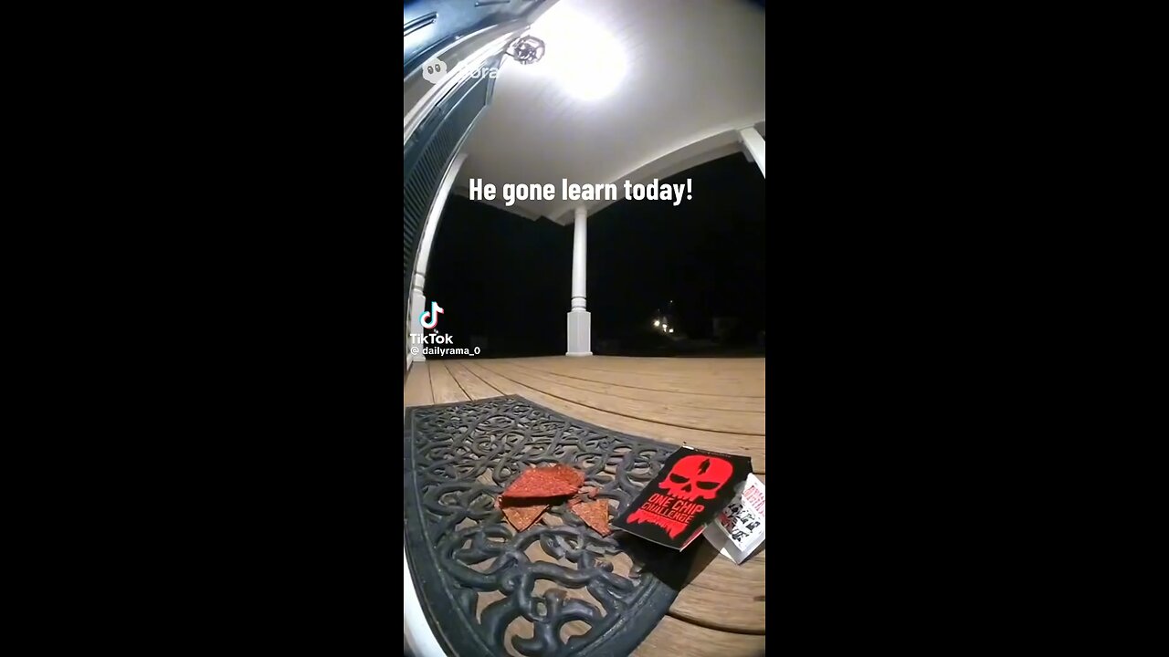 Raccoon’s 1 chip challenge