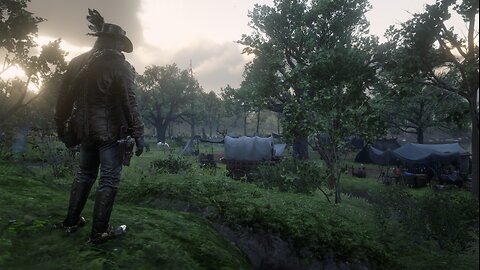 Red Dead Redemption II - Storyline