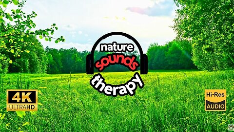 Wind and Meadow: Pure Relaxation with Nature